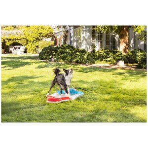 Top Paw Dog Splash Pad Summer Adjustable Water‎ Large Popsicle Spring